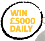 Win daily with racebets