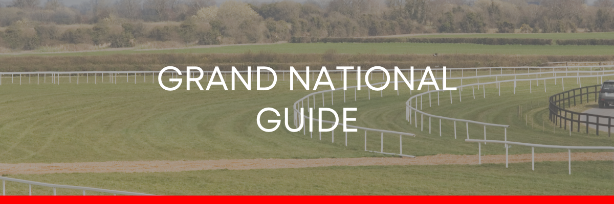 Read more about the article The 2022 Grand National Preview