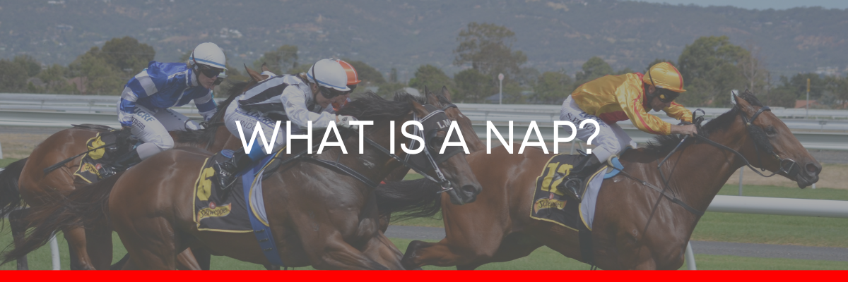 Read more about the article What Is A “Nap Of The Day?”